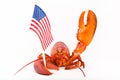 Cooked lobster with flag and raised claw Royalty Free Stock Photo
