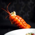 Cooked Lobster Tail with Creamy Garnish Royalty Free Stock Photo