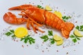 Cooked lobster on white background with spices and lemon Royalty Free Stock Photo