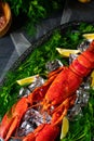 The cooked lobster on ice Royalty Free Stock Photo