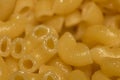 Cooked macaroni with bright highlights