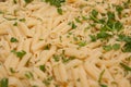 cooked macaroni with herbs