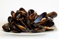 Cooked mussels Royalty Free Stock Photo