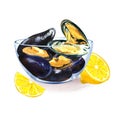Cooked mussels with lemon on transparent plate, isolated, close-up, seafood, hand drawn watercolor illustration on white Royalty Free Stock Photo
