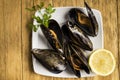 Cooked mussels with parsley and half a lemon on a white plate Royalty Free Stock Photo