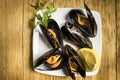 Cooked mussels with parsley and half a lemon on a white plate Royalty Free Stock Photo