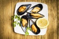 Cooked mussels with parsley and half a lemon on a white plate Royalty Free Stock Photo