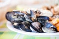 Cooked mussels, shrimps, squid and fish Royalty Free Stock Photo