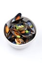 Cooked and opened organic mussel