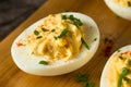 Cooked Organic Hard Boiled Eggs Royalty Free Stock Photo