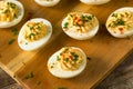 Cooked Organic Hard Boiled Eggs Royalty Free Stock Photo