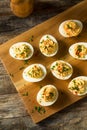 Cooked Organic Hard Boiled Eggs Royalty Free Stock Photo