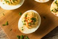 Cooked Organic Hard Boiled Eggs Royalty Free Stock Photo