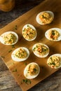 Cooked Organic Hard Boiled Eggs Royalty Free Stock Photo