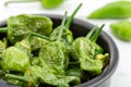 Cooked Padron peppers with olive oil and sea salt Royalty Free Stock Photo