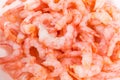 Cooked and peeled shrimp tails on white dish close-up