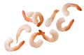 Cooked peeled shrimps flying close-up on a white background. Isolated