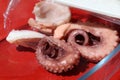 cooked pink curled octopus tentacles
