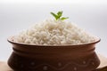 Cooked plain white basmati rice in terracotta bowl, selective focus