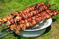 Cooked pork meat. Barbecue lunch. Appetizing shashlik on skewers on plate Royalty Free Stock Photo