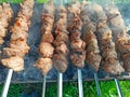 Cooked pork meat. Barbecue lunch. Appetizing shashlik on skewers on plate Royalty Free Stock Photo