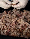 Cooked pork roast being pulled by gloved hands