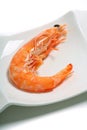 Cooked prawn on a plate