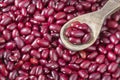 Raw red beans - Phaseolus vulgaris