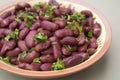 Cooked red beans plate on pink background, isolated. Healthy food Royalty Free Stock Photo