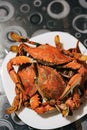 Cooked red boiled blue crabs on a plate on the table. Royalty Free Stock Photo