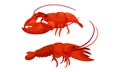 Cooked Red Lobster as Large Marine Crustacean with Muscular Tail and Claw Pair Vector Set