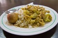Cooked rice with green curry chicken and egg