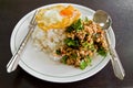 Cooked rice with spicy minced meat salad Royalty Free Stock Photo