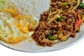 Cooked rice with spicy minced meat salad Royalty Free Stock Photo