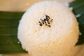 Cooked rice and sprinkled with white sesame and black sesame seeds Royalty Free Stock Photo