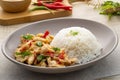 Cooked rice with stir-fried sliced chicken breast and basil.Thai food