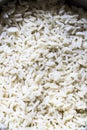 cooked rice Royalty Free Stock Photo