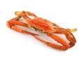 Cooked Sand Crab Royalty Free Stock Photo