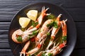 Cooked scampi or langoustine close-up on a plate with sauce and Royalty Free Stock Photo