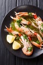 Cooked scampi or langoustine close-up on a plate with sauce and Royalty Free Stock Photo