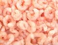 Cooked shelled prawns