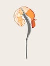 Cooked shrimp on fork, sketch vector.