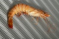 Cooked shrimp with metallic background Royalty Free Stock Photo