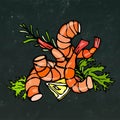 Cooked Shrimp or Prawn Cocktail, Herbs and Lemon. Isolated On Chalkboard Background Doodle Cartoon Vintage Hand Drawn Royalty Free Stock Photo