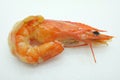 Cooked shrimp / prawn with head / seafood Royalty Free Stock Photo