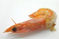 Cooked shrimp / prawn with head / seafood Royalty Free Stock Photo