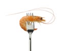 Cooked shrimp and Silver Fork on a white background. Royalty Free Stock Photo