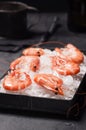 Cooked Shrimp in Tray Filled with Ice