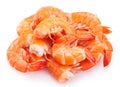 Cooked shrimp on white background Royalty Free Stock Photo