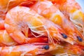 Cooked shrimps on white background. Royalty Free Stock Photo